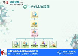 erp系统的作用 拓盛企业管理咨询 推荐商家